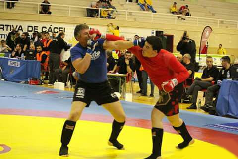Artes Marciales Mixtas